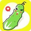樱桃视频apk下载安装
