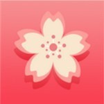 992tv影视apk在线下载