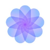 小太妹轻量版下载大全