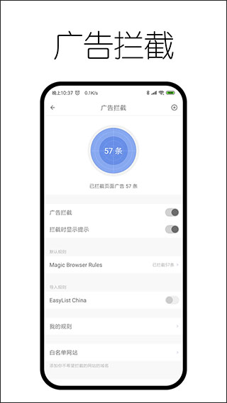 神奇浏览器2