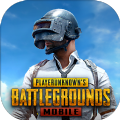 pubg龙王2.4正式版_logo